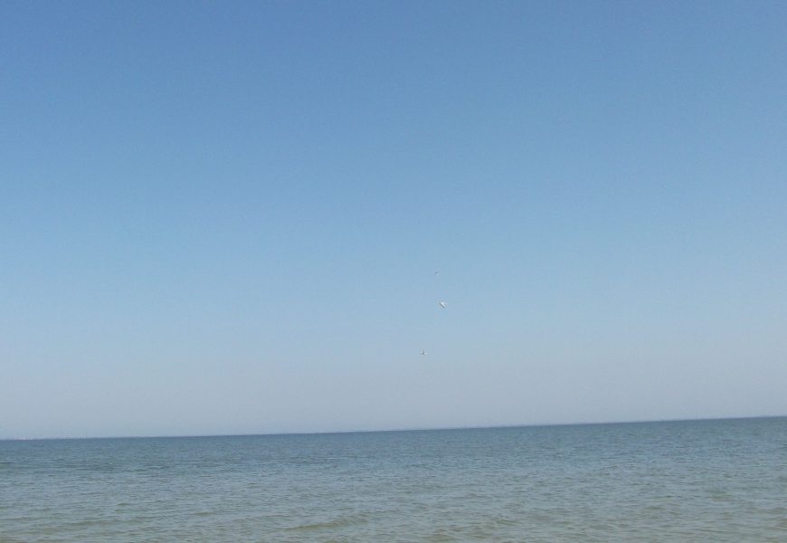 DEFESO DA LAGOA DE ARARUAMA