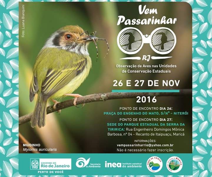 “Vem Passarinhar”: Parque Estadual da Serra da Tiririca promove caminhada de observação de pássaros neste final de semana