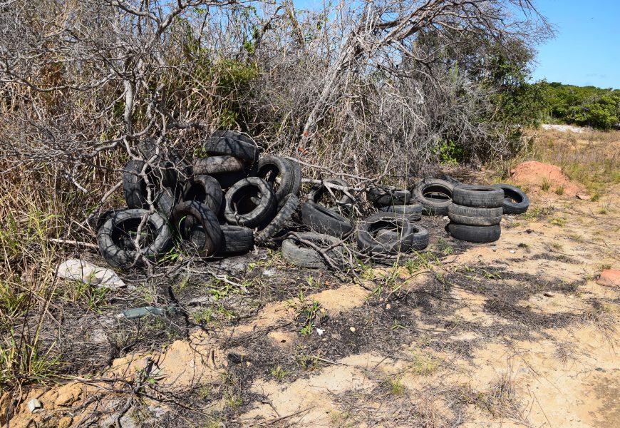 INEA e Prefeitura removem 20 toneladas de lixo da faixa de restinga da Área de Proteção Ambiental de Maricá
