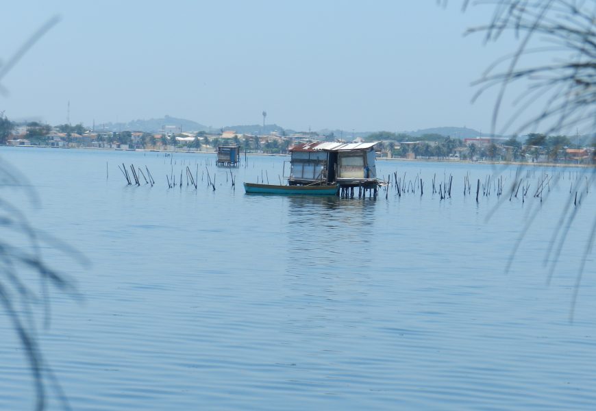 UVA realiza pesquisa sobre peixes da Lagoa de Araruama