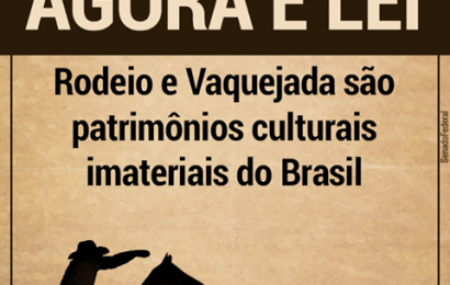 Vaquejada e os verdadeiros bois do Brasil
