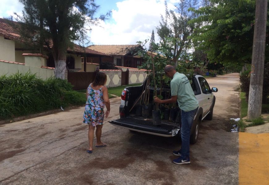 Moradores de Tamois recebem mudas de ipê em ação de conscientização da Coordenadoria do Meio Ambiente