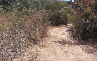 NOVA DENÚNCIA – Desmatamento Ilegal – Mais Um Crime Ambiental em São Pedro da Aldeia