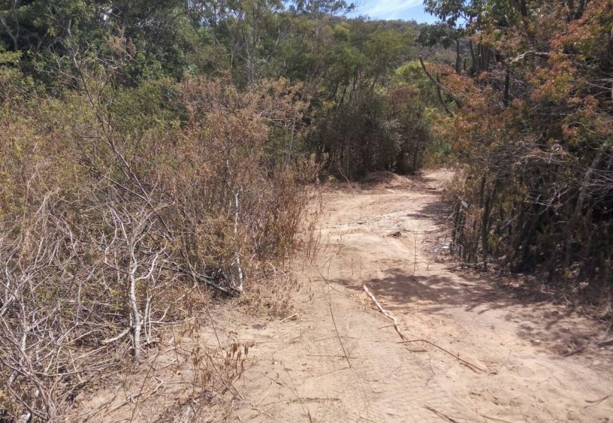 NOVA DENÚNCIA – Desmatamento Ilegal – Mais Um Crime Ambiental em São Pedro da Aldeia