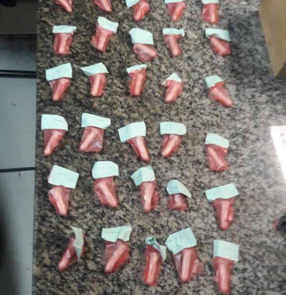POLÍCIA APREENDE MAIS DROGAS EM SÃO PEDRO DA ALDEIA