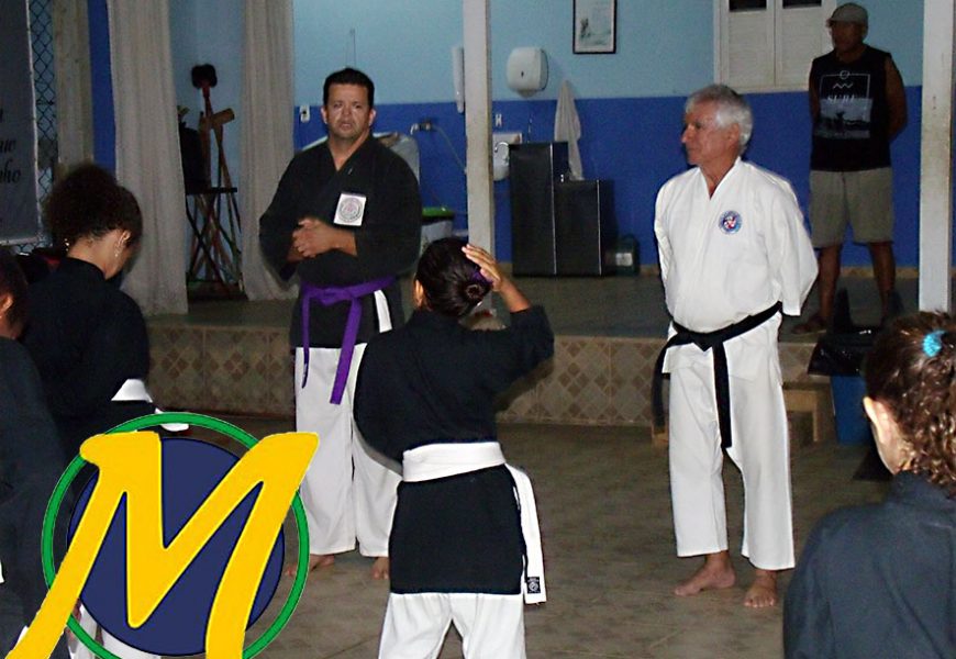 KARATÊ DO SEMENTES DO AMANHÃ COMPLETA 1 ANO KARATÊ DO SEMENTES DO AMANHÃ COMPLETA 1 ANO