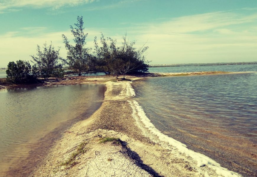 Defeso da Lagoa de Araruama começou neste sábado e vai até 31 de outubro